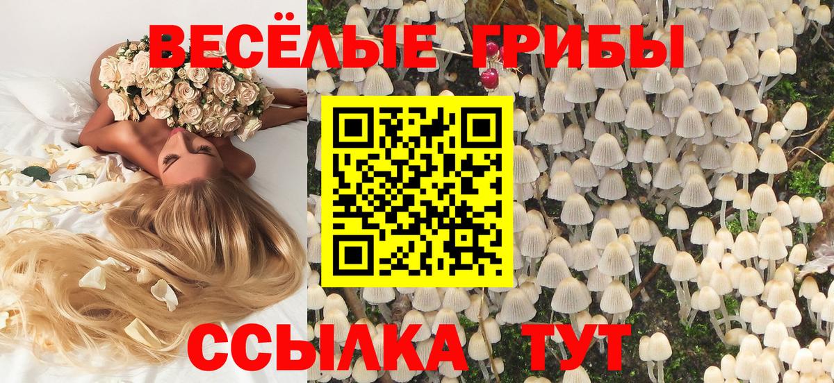Псилоцибиновые грибы MAGIC MUSHROOMS Курчатов